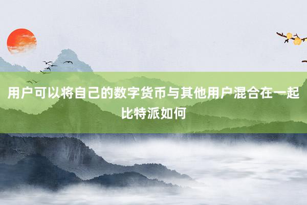 用户可以将自己的数字货币与其他用户混合在一起比特派如何