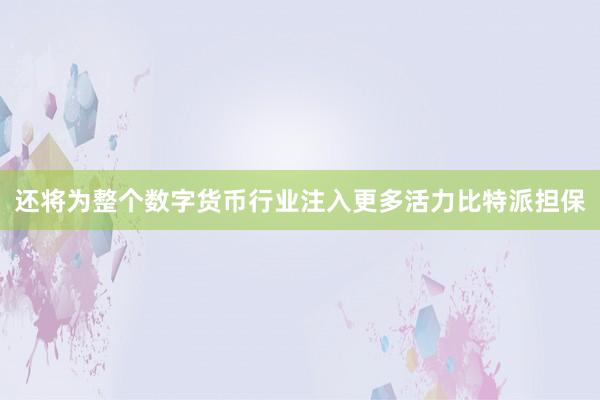 还将为整个数字货币行业注入更多活力比特派担保