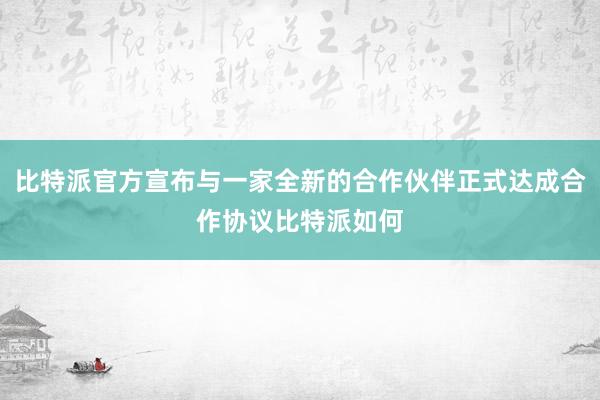 比特派官方宣布与一家全新的合作伙伴正式达成合作协议比特派如何