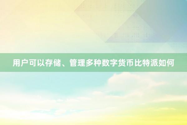 用户可以存储、管理多种数字货币比特派如何