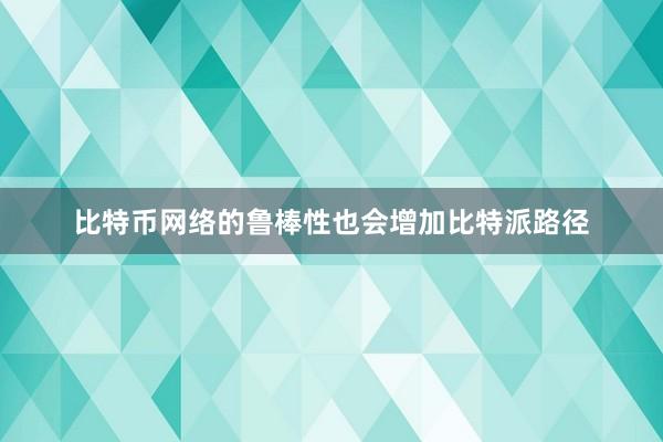 比特币网络的鲁棒性也会增加比特派路径