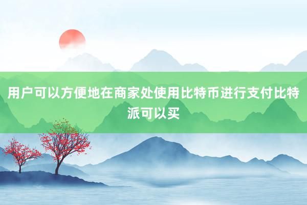 用户可以方便地在商家处使用比特币进行支付比特派可以买