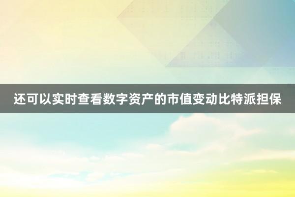 还可以实时查看数字资产的市值变动比特派担保