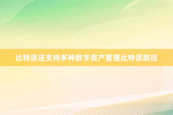 比特派还支持多种数字资产管理比特派路径