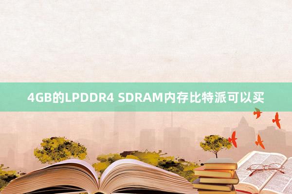 4GB的LPDDR4 SDRAM内存比特派可以买