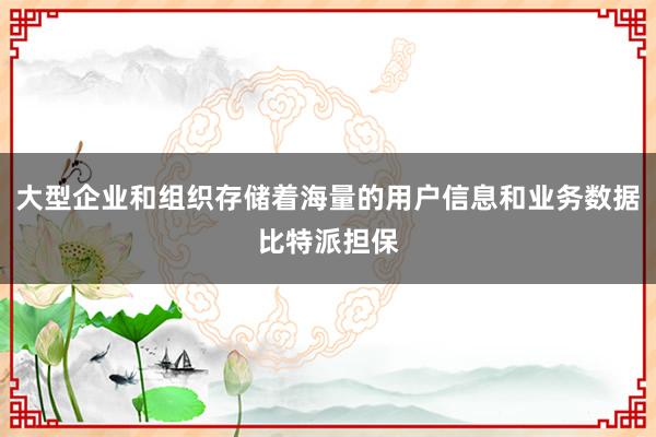 大型企业和组织存储着海量的用户信息和业务数据比特派担保