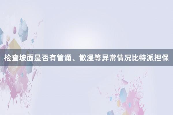 检查坡面是否有管涌、散浸等异常情况比特派担保