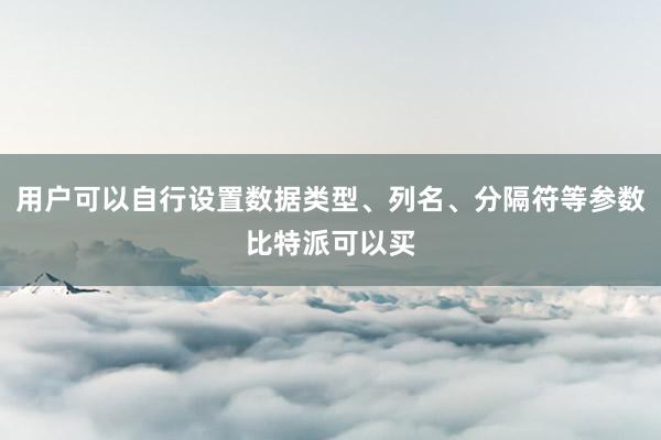 用户可以自行设置数据类型、列名、分隔符等参数比特派可以买