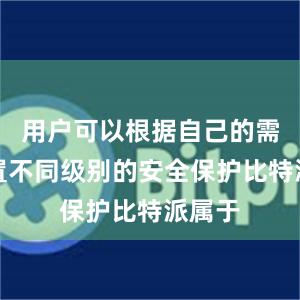 用户可以根据自己的需求设置不同级别的安全保护比特派属于