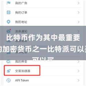 比特币作为其中最重要的加密货币之一比特派可以买