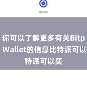 你可以了解更多有关Bitpie Wallet的信息比特派可以买