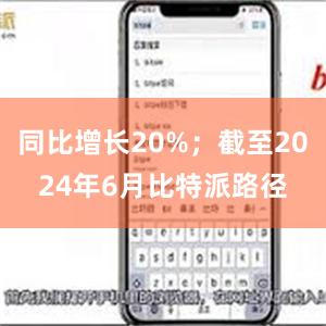 同比增长20%；截至2024年6月比特派路径