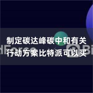 制定碳达峰碳中和有关行动方案比特派可以买